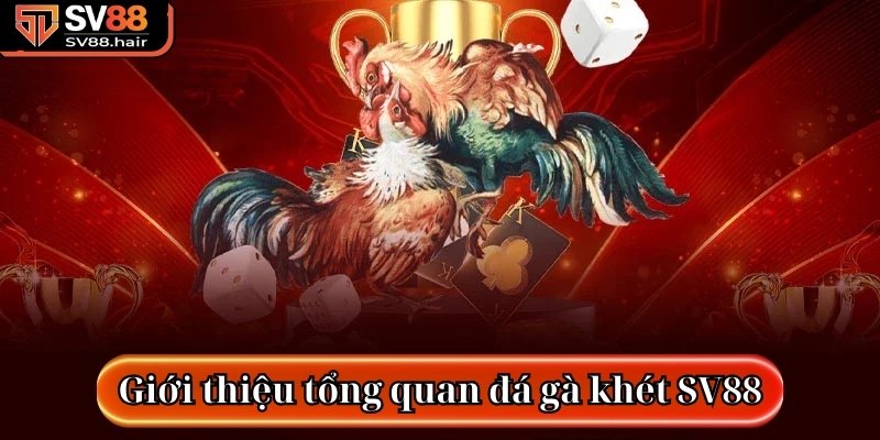 Đá Gà Khét SV88 - Tựa Game Chọi Kê Trực Tuyến Hấp Dẫn 2 Giới thiệu tổng quan về tựa game đá gà khét SV88