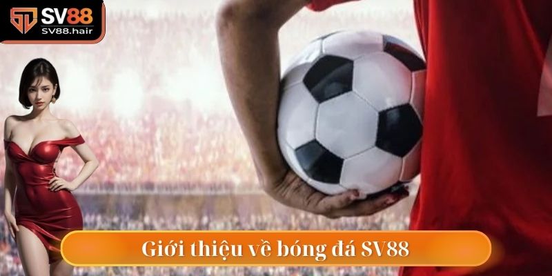 Bóng Đá SV88 1 Khái quát giới thiệu thông tin về bóng đá SV88
