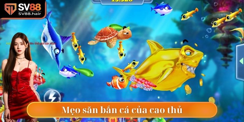 Bắn Cá SV88 3 Mẹo săn bắn được chuyên gia hàng đầu chia sẻ