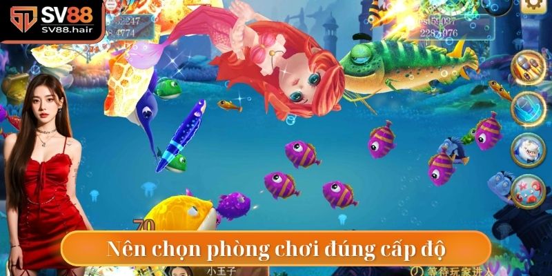 Bắn Cá SV88 4 Người chơi nên bắn cá ở phòng chơi đúng cấp độ