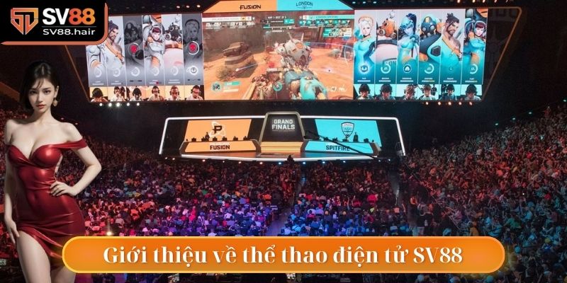 Thể Thao Điện Tử SV88 1 Tổng quan giới thiệu về thể thao điện tử SV88
